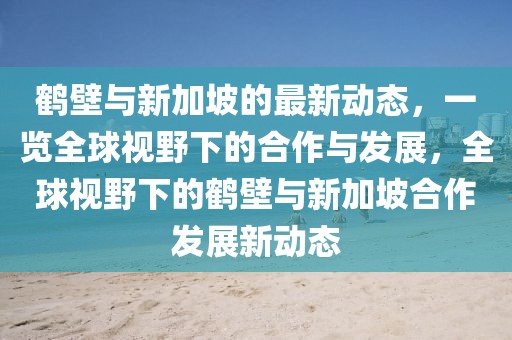 鶴壁與新加坡的最新動態(tài)，一覽全球視野下的合作與發(fā)展，全球視野下的鶴壁與新加坡合作發(fā)展新動態(tài)