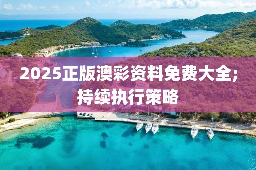 2025正版澳彩資料免費(fèi)大全;持續(xù)執(zhí)行策略