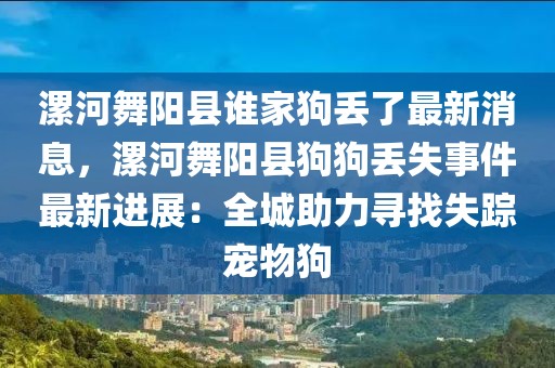 漯河舞陽縣誰家狗丟了最新消息，漯河舞陽縣狗狗丟失事件最新進展：全城助力尋找失蹤寵物狗