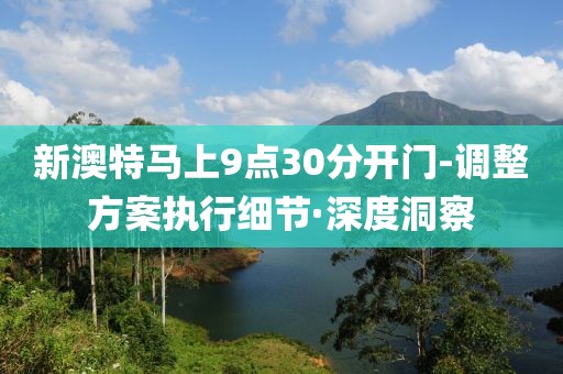 新澳特馬上9點(diǎn)30分開門-調(diào)整方案執(zhí)行細(xì)節(jié)·深度洞察