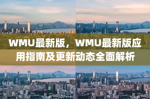 WMU最新版，WMU最新版應(yīng)用指南及更新動(dòng)態(tài)全面解析