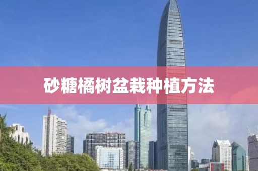 砂糖橘樹(shù)盆栽種植方法