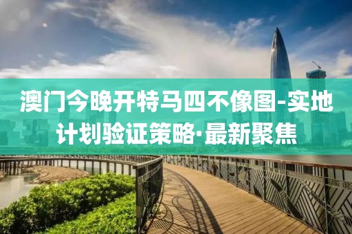 澳門今晚開特馬四不像圖-實地計劃驗證策略·最新聚焦