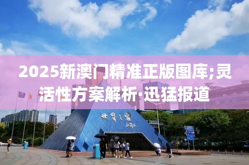 2025新澳門精準正版圖庫;靈活性方案解析·迅猛報道