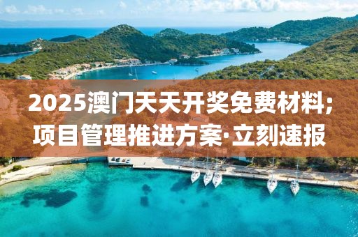 2025澳門天天開獎免費材料;項目管理推進(jìn)方案·立刻速報