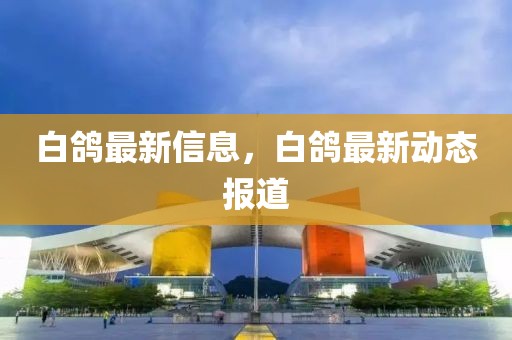 白鴿最新信息，白鴿最新動(dòng)態(tài)報(bào)道