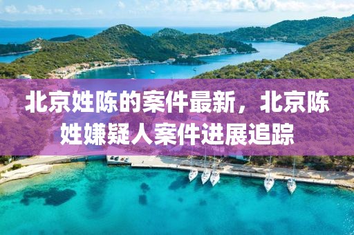北京姓陳的案件最新，北京陳姓嫌疑人案件進(jìn)展追蹤