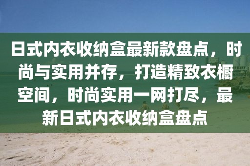 日式內(nèi)衣收納盒最新款盤點(diǎn)，時(shí)尚與實(shí)用并存，打造精致衣櫥空間，時(shí)尚實(shí)用一網(wǎng)打盡，最新日式內(nèi)衣收納盒盤點(diǎn)