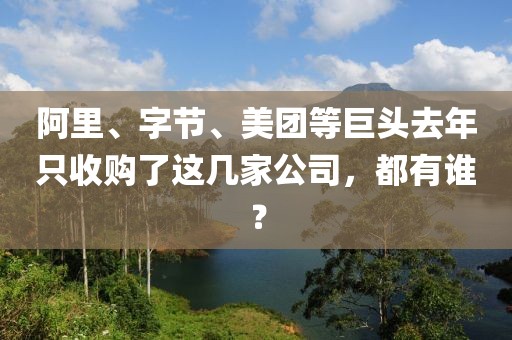 阿里、字節(jié)、美團(tuán)等巨頭去年只收購(gòu)了這幾家公司，都有誰(shuí)？