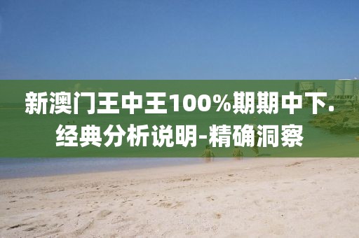 新澳門(mén)王中王100%期期中下.經(jīng)典分析說(shuō)明-精確洞察