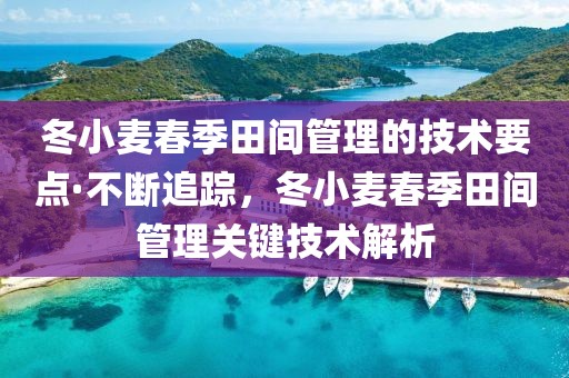 冬小麥春季田間管理的技術要點·不斷追蹤，冬小麥春季田間管理關鍵技術解析