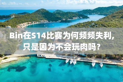 Bin在S14比賽為何頻頻失利,只是因?yàn)椴粫嫒鈫幔?></div><div   id=
