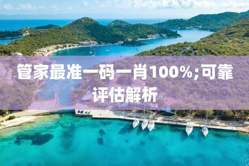 管家最準一碼一肖100%;可靠評估解析