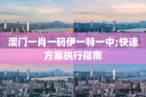 澳門一肖一碼伊一特一中;快速方案執(zhí)行指南
