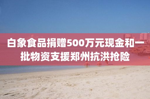 白象食品捐贈500萬元現(xiàn)金和一批物資支援鄭州抗洪搶險