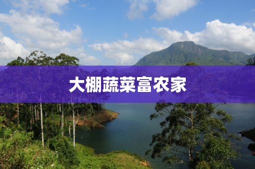 大棚蔬菜富農(nóng)家
