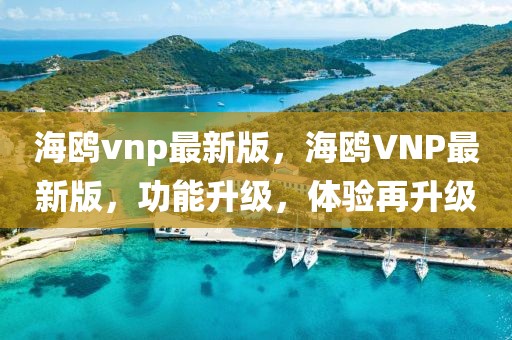 海鷗vnp最新版，海鷗VNP最新版，功能升級(jí)，體驗(yàn)再升級(jí)