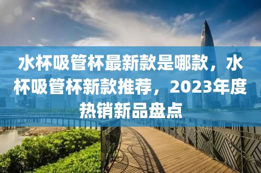 水杯吸管杯最新款是哪款，水杯吸管杯新款推薦，2023年度熱銷新品盤點(diǎn)