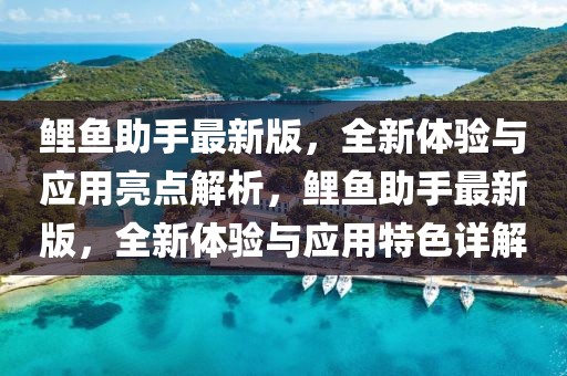 鯉魚助手最新版，全新體驗與應(yīng)用亮點解析，鯉魚助手最新版，全新體驗與應(yīng)用特色詳解
