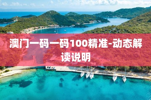 澳門一碼一碼100精準(zhǔn)-動(dòng)態(tài)解讀說明