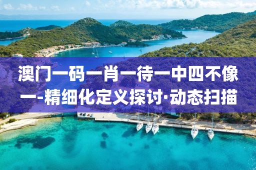 澳門一碼一肖一待一中四不像一-精細化定義探討·動態(tài)掃描