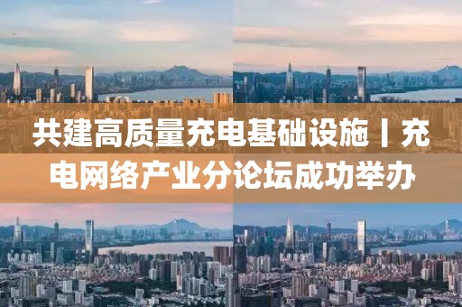 共建高質(zhì)量充電基礎(chǔ)設(shè)施丨充電網(wǎng)絡(luò)產(chǎn)業(yè)分論壇成功舉辦