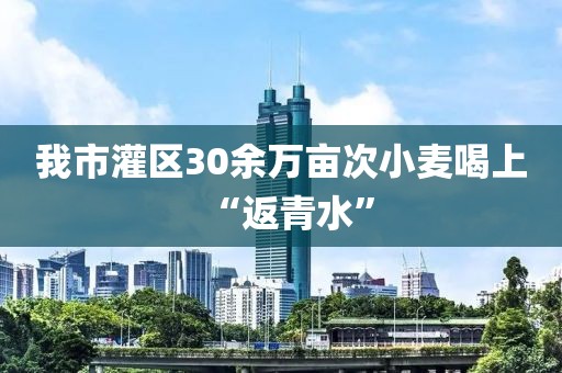 我市灌區(qū)30余萬畝次小麥喝上“返青水”