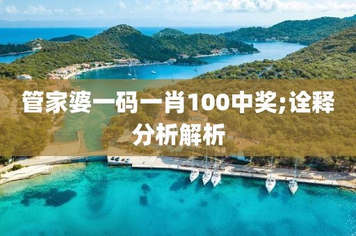 管家婆一碼一肖100中獎;詮釋分析解析
