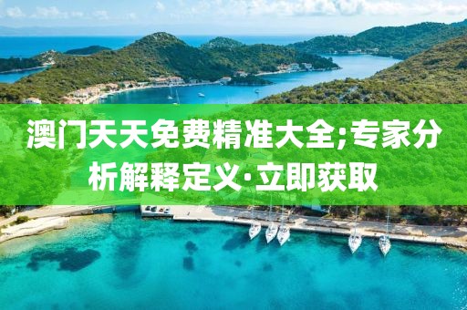 澳門天天免費(fèi)精準(zhǔn)大全;專家分析解釋定義·立即獲取