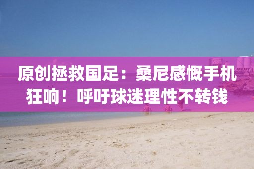 原創(chuàng)拯救國足：桑尼感慨手機狂響！呼吁球迷理性不轉錢