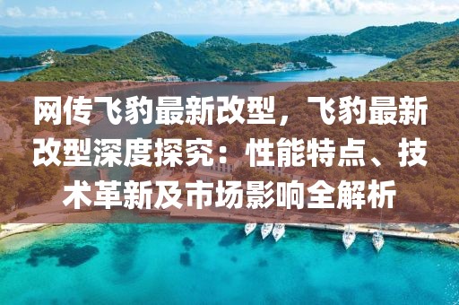網(wǎng)傳飛豹最新改型，飛豹最新改型深度探究：性能特點、技術(shù)革新及市場影響全解析