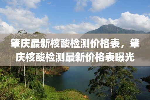 肇慶最新核酸檢測(cè)價(jià)格表，肇慶核酸檢測(cè)最新價(jià)格表曝光