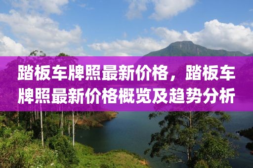 踏板車牌照最新價(jià)格，踏板車牌照最新價(jià)格概覽及趨勢分析