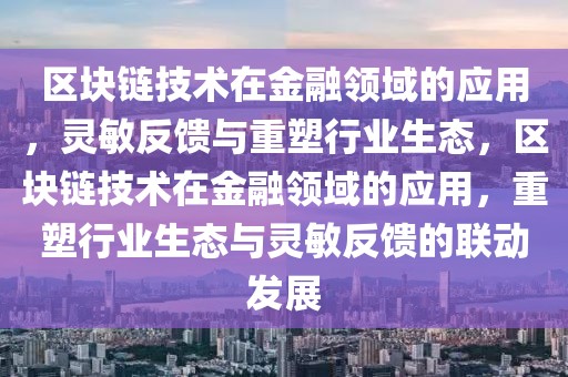 區(qū)塊鏈技術(shù)在金融領(lǐng)域的應(yīng)用，靈敏反饋與重塑行業(yè)生態(tài)，區(qū)塊鏈技術(shù)在金融領(lǐng)域的應(yīng)用，重塑行業(yè)生態(tài)與靈敏反饋的聯(lián)動(dòng)發(fā)展