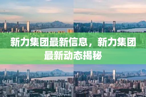新力集團(tuán)最新信息，新力集團(tuán)最新動態(tài)揭秘