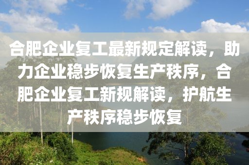 合肥企業(yè)復(fù)工最新規(guī)定解讀，助力企業(yè)穩(wěn)步恢復(fù)生產(chǎn)秩序，合肥企業(yè)復(fù)工新規(guī)解讀，護(hù)航生產(chǎn)秩序穩(wěn)步恢復(fù)