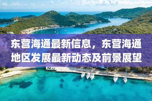東營(yíng)海通最新信息，東營(yíng)海通地區(qū)發(fā)展最新動(dòng)態(tài)及前景展望