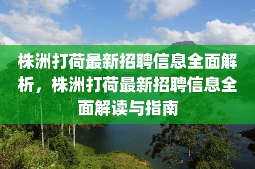 株洲打荷最新招聘信息全面解析，株洲打荷最新招聘信息全面解讀與指南