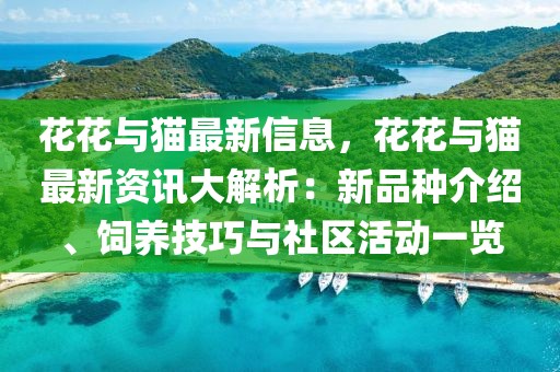 花花與貓最新信息，花花與貓最新資訊大解析：新品種介紹、飼養(yǎng)技巧與社區(qū)活動(dòng)一覽
