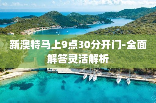 新澳特馬上9點30分開門-全面解答靈活解析