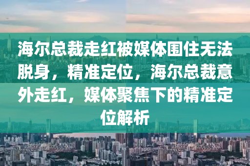 海爾總裁走紅被媒體圍住無法脫身，精準(zhǔn)定位，海爾總裁意外走紅，媒體聚焦下的精準(zhǔn)定位解析