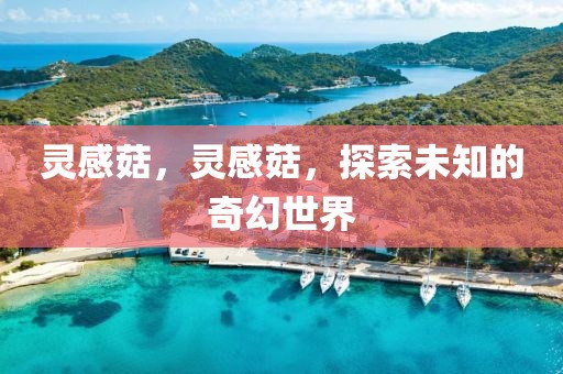 靈感菇，靈感菇，探索未知的奇幻世界