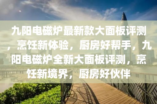 九陽電磁爐最新款大面板評測，烹飪新體驗，廚房好幫手，九陽電磁爐全新大面板評測，烹飪新境界，廚房好伙伴