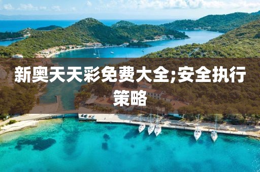新奧天天彩免費(fèi)大全;安全執(zhí)行策略