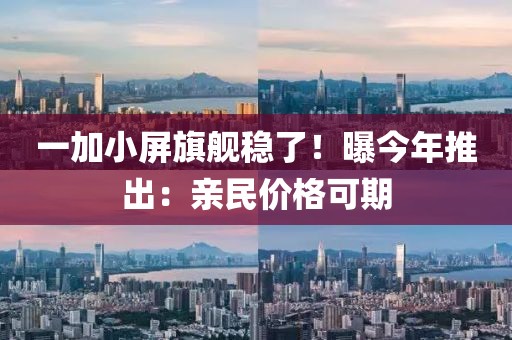 一加小屏旗艦穩(wěn)了！曝今年推出：親民價(jià)格可期