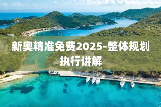 新奧精準(zhǔn)免費(fèi)2025-整體規(guī)劃執(zhí)行講解