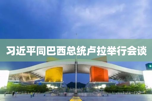 習(xí)近平同巴西總統(tǒng)盧拉舉行會談