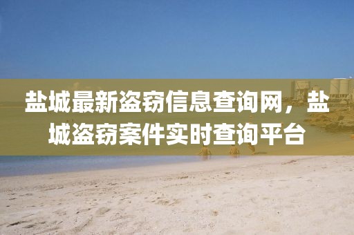 鹽城最新盜竊信息查詢網(wǎng)，鹽城盜竊案件實(shí)時(shí)查詢平臺