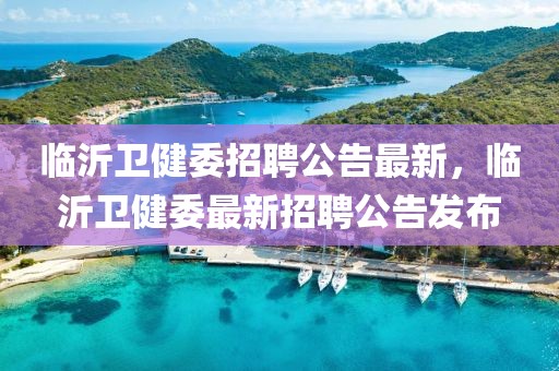 臨沂衛(wèi)健委招聘公告最新，臨沂衛(wèi)健委最新招聘公告發(fā)布