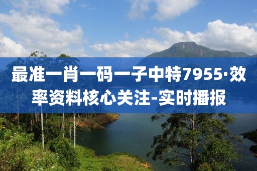 最準一肖一碼一子中特7955·效率資料核心關注-實時播報